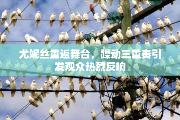 尤妮丝重返舞台，躁动三重奏引发观众热烈反响