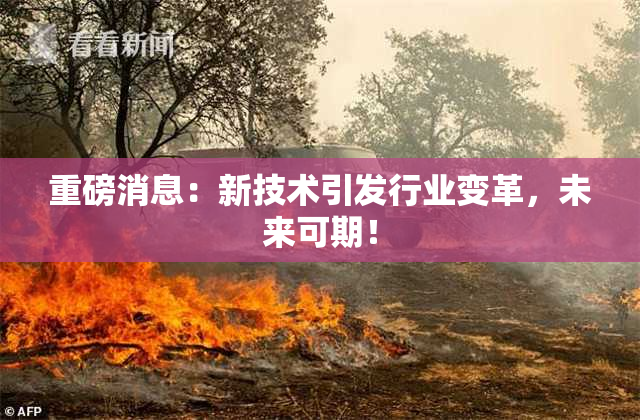 重磅消息：新技术引发行业变革，未来可期！