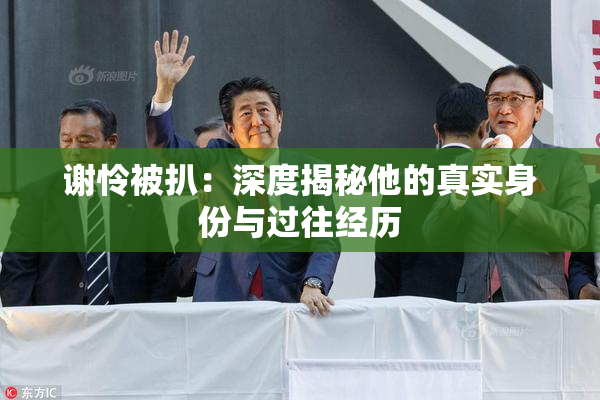 谢怜被扒：深度揭秘他的真实身份与过往经历