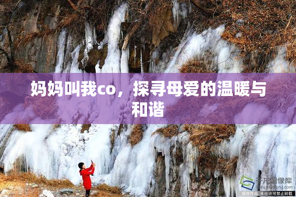妈妈叫我co，探寻母爱的温暖与和谐
