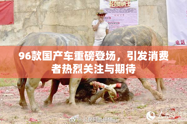 96款国产车重磅登场，引发消费者热烈关注与期待