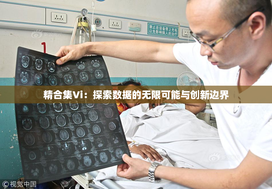 精合集Vi：探索数据的无限可能与创新边界