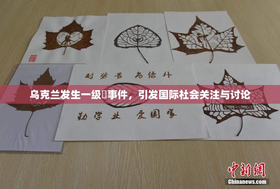 乌克兰发生一级婬事件，引发国际社会关注与讨论