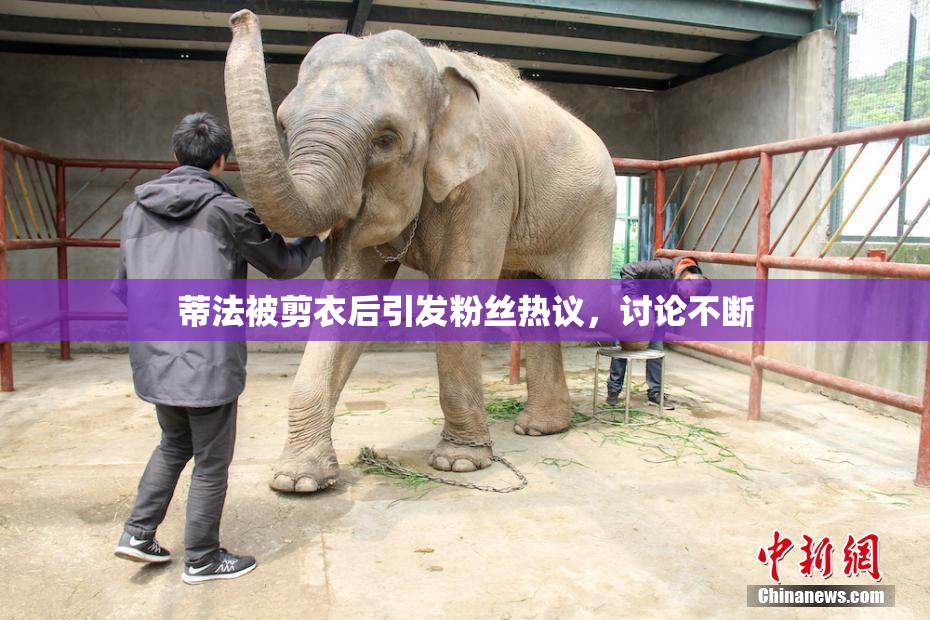 蒂法被剪衣后引发粉丝热议，讨论不断