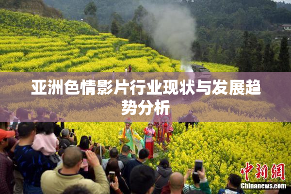 亚洲色情影片行业现状与发展趋势分析