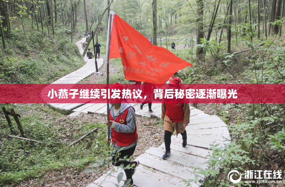 小燕子继续引发热议，背后秘密逐渐曝光