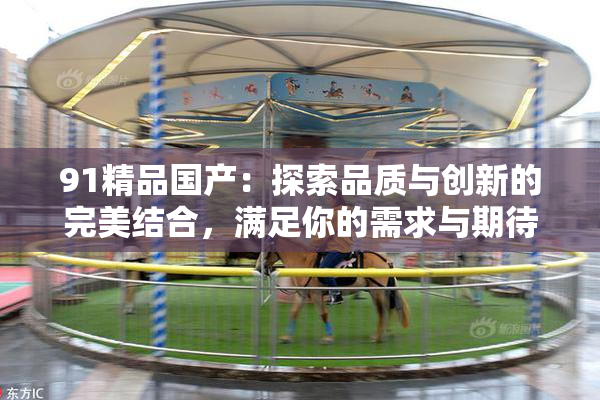 91精品国产：探索品质与创新的完美结合，满足你的需求与期待。
