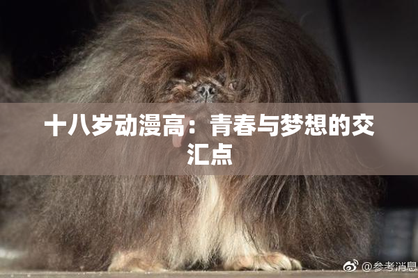 十八岁动漫高：青春与梦想的交汇点