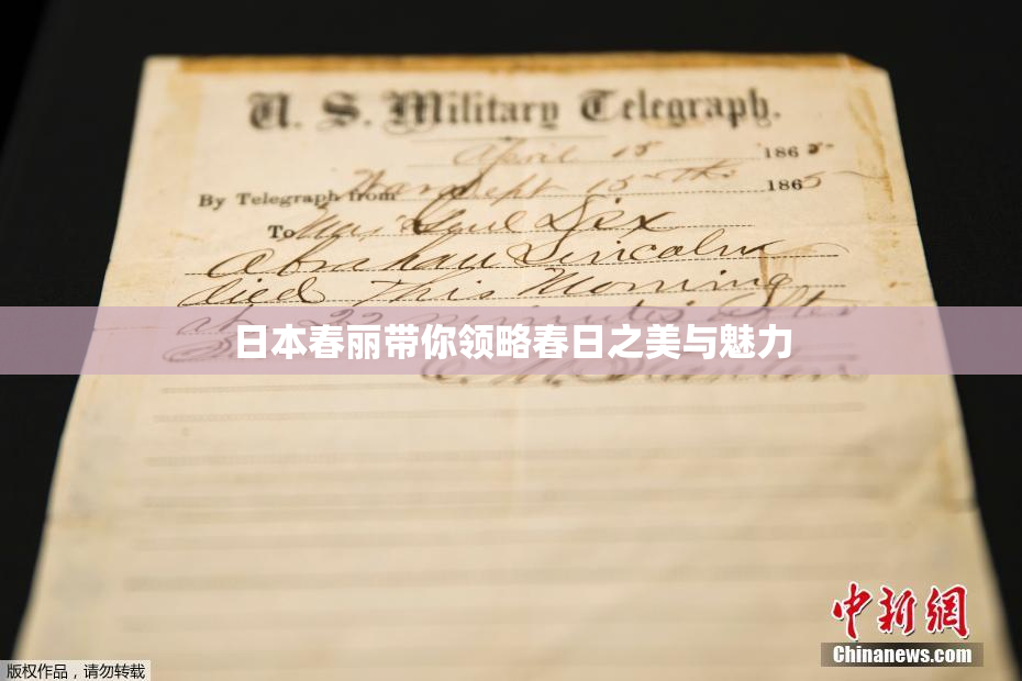日本春丽带你领略春日之美与魅力