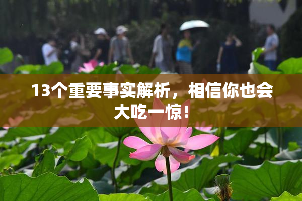 13个重要事实解析，相信你也会大吃一惊！