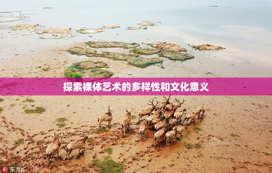 探索裸体艺术的多样性和文化意义