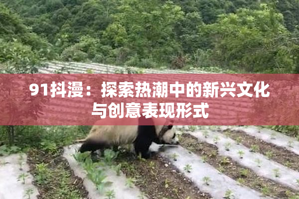 91抖漫：探索热潮中的新兴文化与创意表现形式