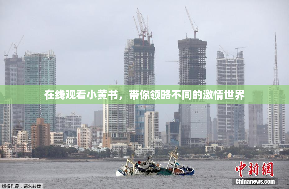 在线观看小黄书，带你领略不同的激情世界