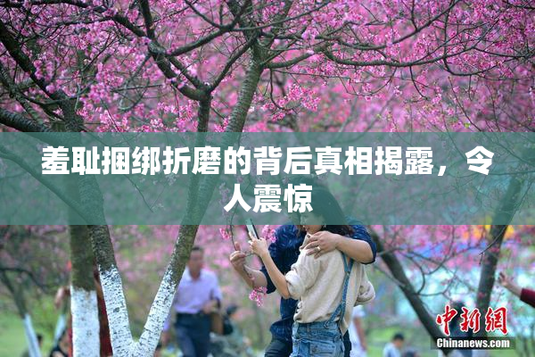 羞耻捆绑折磨的背后真相揭露，令人震惊
