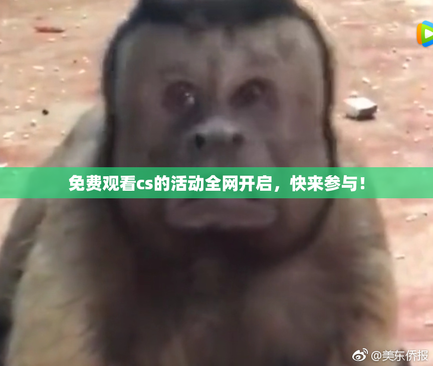 免费观看cs的活动全网开启，快来参与！