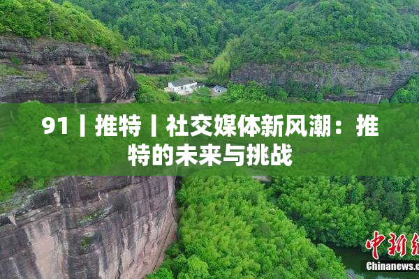91丨推特丨社交媒体新风潮：推特的未来与挑战