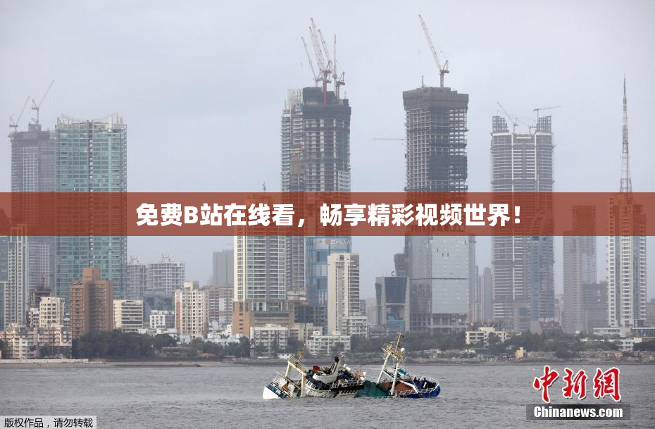 免费B站在线看，畅享精彩视频世界！