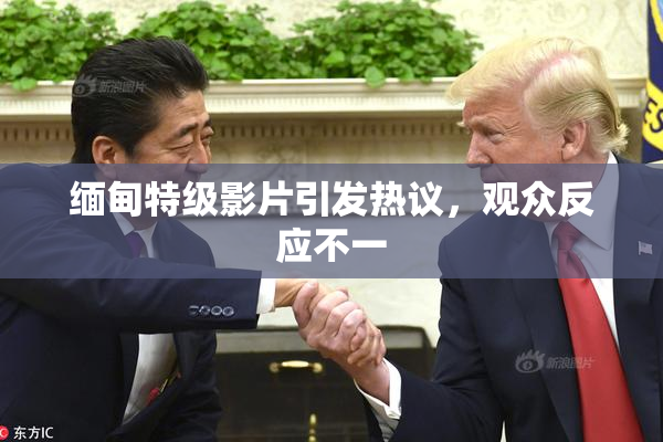 缅甸特级影片引发热议，观众反应不一