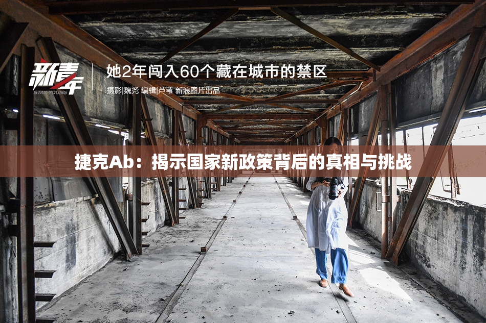 捷克Ab：揭示国家新政策背后的真相与挑战