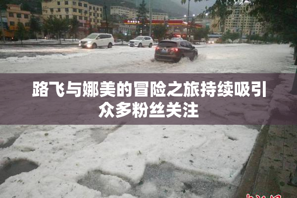 路飞与娜美的冒险之旅持续吸引众多粉丝关注