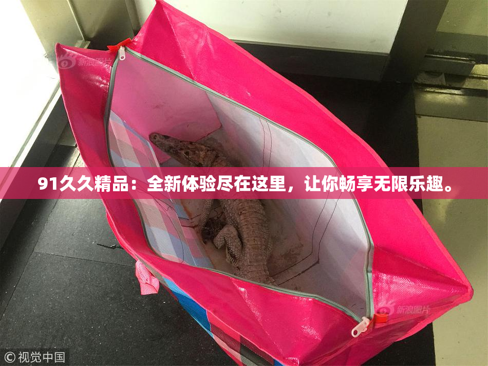 91久久精品：全新体验尽在这里，让你畅享无限乐趣。