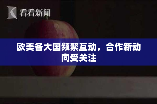 欧美各大国频繁互动，合作新动向受关注