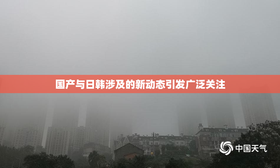 国产与日韩涉及的新动态引发广泛关注
