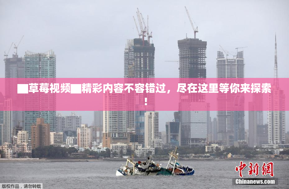 ▇草莓视频▇精彩内容不容错过，尽在这里等你来探索！