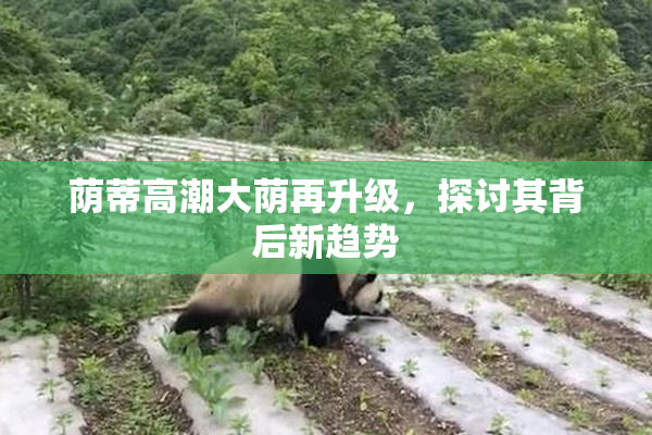 荫蒂高潮大荫再升级，探讨其背后新趋势