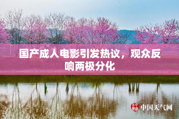 国产成人电影引发热议，观众反响两极分化