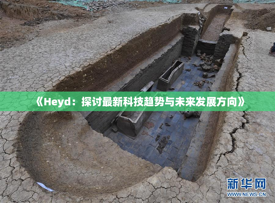 《Heyd：探讨最新科技趋势与未来发展方向》