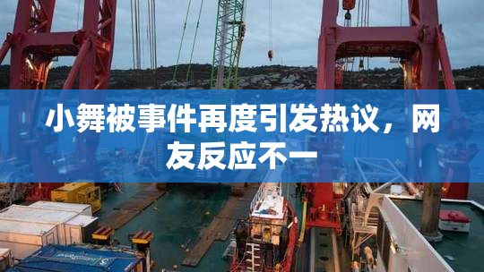 小舞被事件再度引发热议，网友反应不一