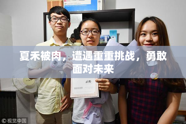 夏禾被肉，遭遇重重挑战，勇敢面对未来