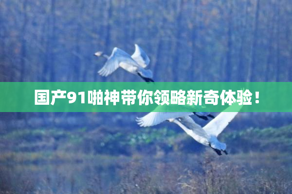 国产91啪神带你领略新奇体验！