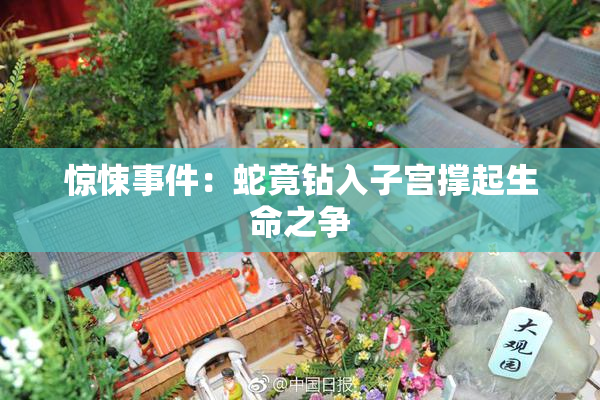 惊悚事件：蛇竟钻入子宫撑起生命之争