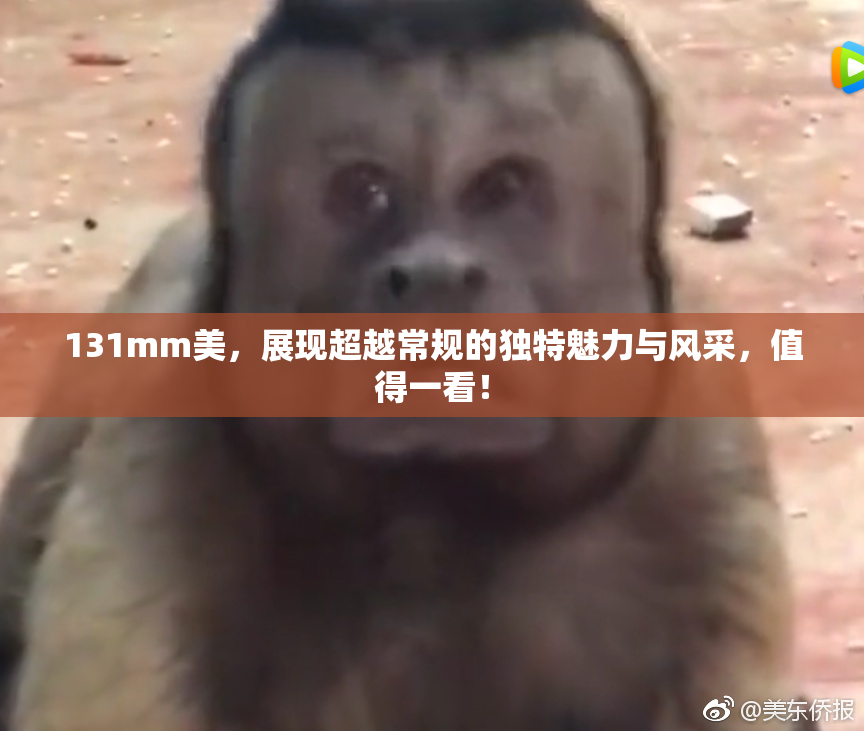 131mm美，展现超越常规的独特魅力与风采，值得一看！