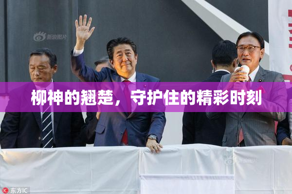 柳神的翘楚，守护住的精彩时刻