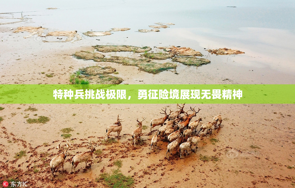 特种兵挑战极限，勇征险境展现无畏精神