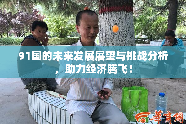 91国的未来发展展望与挑战分析，助力经济腾飞！