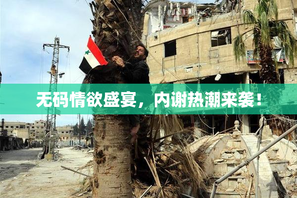 无码情欲盛宴，内谢热潮来袭！