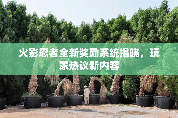 火影忍者全新奖励系统揭晓，玩家热议新内容