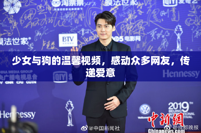 少女与狗的温馨视频，感动众多网友，传递爱意
