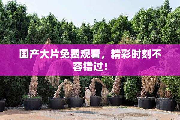 国产大片免费观看，精彩时刻不容错过！