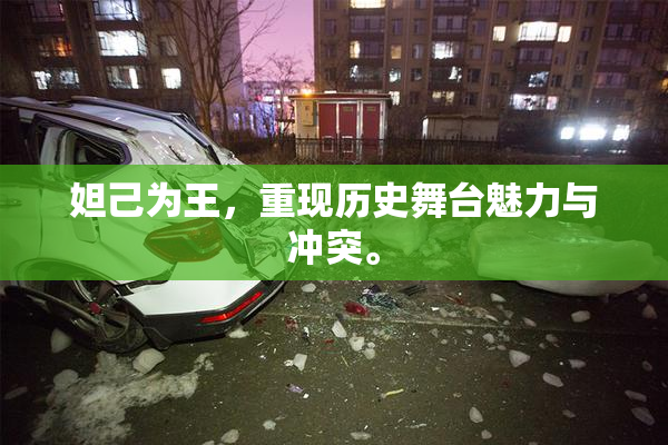 妲己为王，重现历史舞台魅力与冲突。