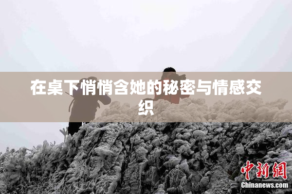 在桌下悄悄含她的秘密与情感交织