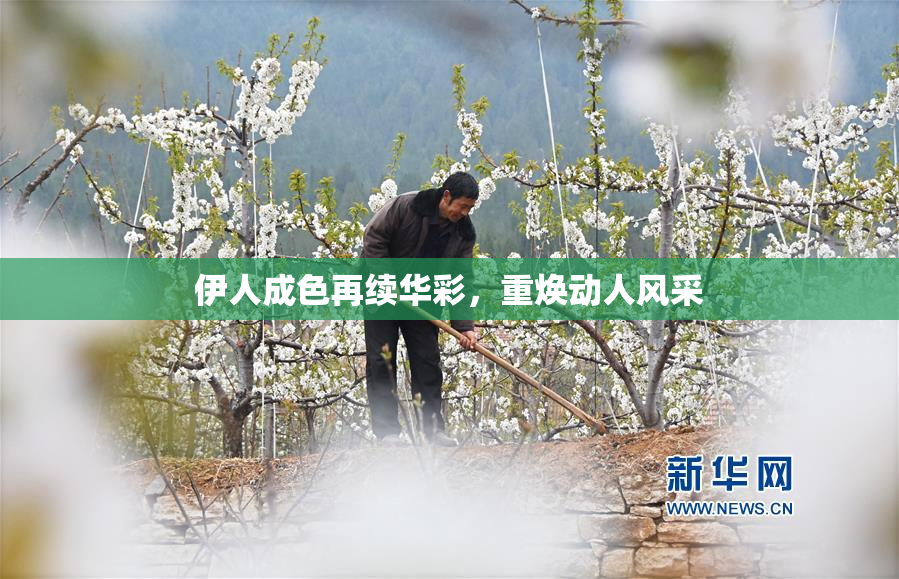 伊人成色再续华彩，重焕动人风采