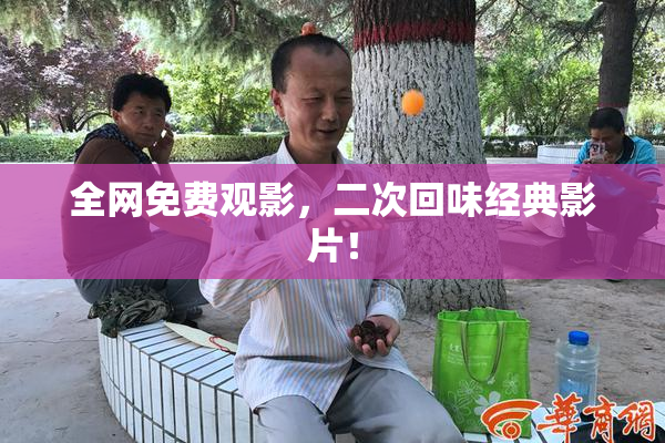 全网免费观影，二次回味经典影片！