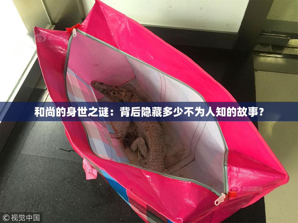 和尚的身世之谜：背后隐藏多少不为人知的故事？