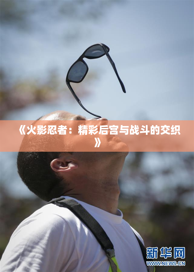 《火影忍者：精彩后宫与战斗的交织》