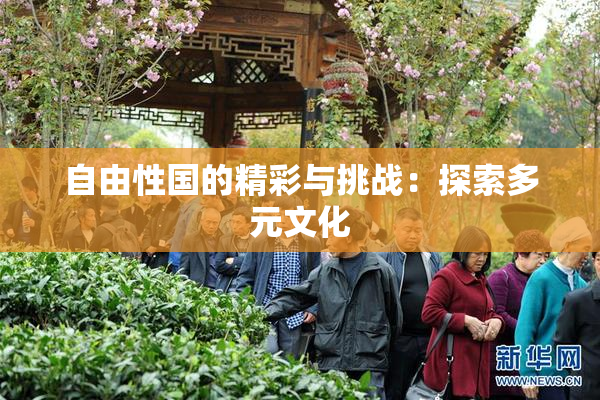自由性国的精彩与挑战：探索多元文化